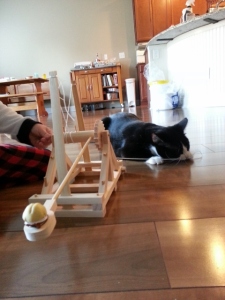 cats and catapults...